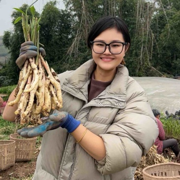 大家好这是我们家乡特产嫩仔姜，支持全国发货哦