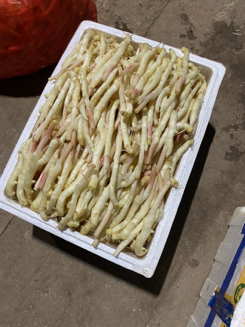 大家好这是我们家乡特产嫩仔姜，支持全国发货哦