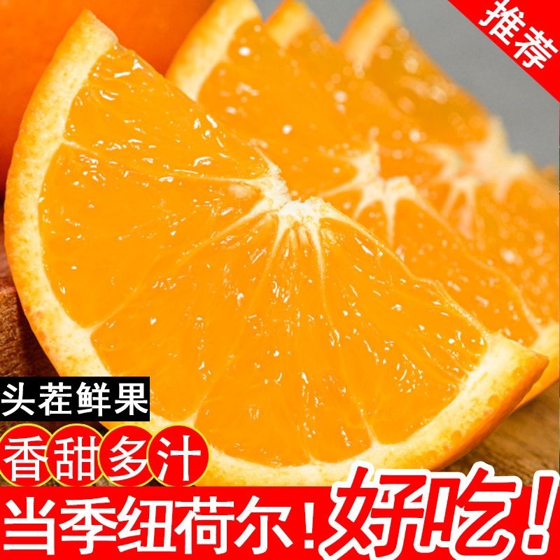 【推荐】奉节脐橙纽荷尔脐橙专业代办保质保量欢迎选购