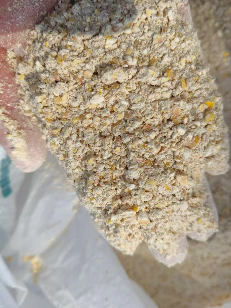 玉米次粉无土无沙无霉变大量上市产地直发
