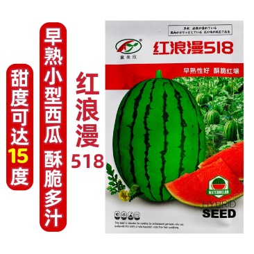 红浪漫518礼品西瓜种子超甜薄皮礼品瓜种籽早熟特甜西瓜种