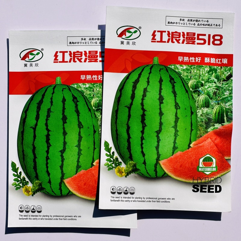 红浪漫518礼品西瓜种子超甜薄皮礼品瓜种籽早熟特甜西瓜种