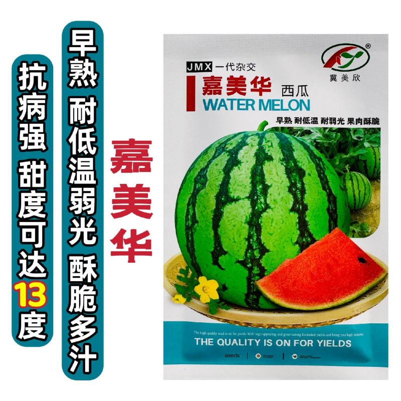嘉美华西瓜种子早熟特甜西瓜种子皮薄酥脆圆形红瓤西瓜种籽