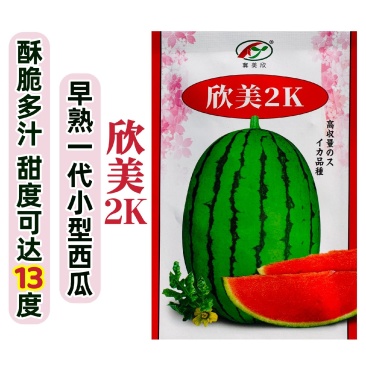 欣美2k西瓜种子早熟薄皮椭圆形礼品西瓜种子特甜水果种子