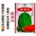 欣美2k西瓜种子早熟薄皮椭圆形礼品西瓜种子特甜水果种子