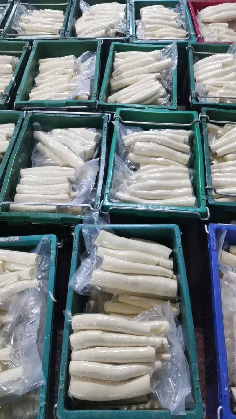 黄肉木薯华南9号，2024年8月10号粉粉糯糯上大量市