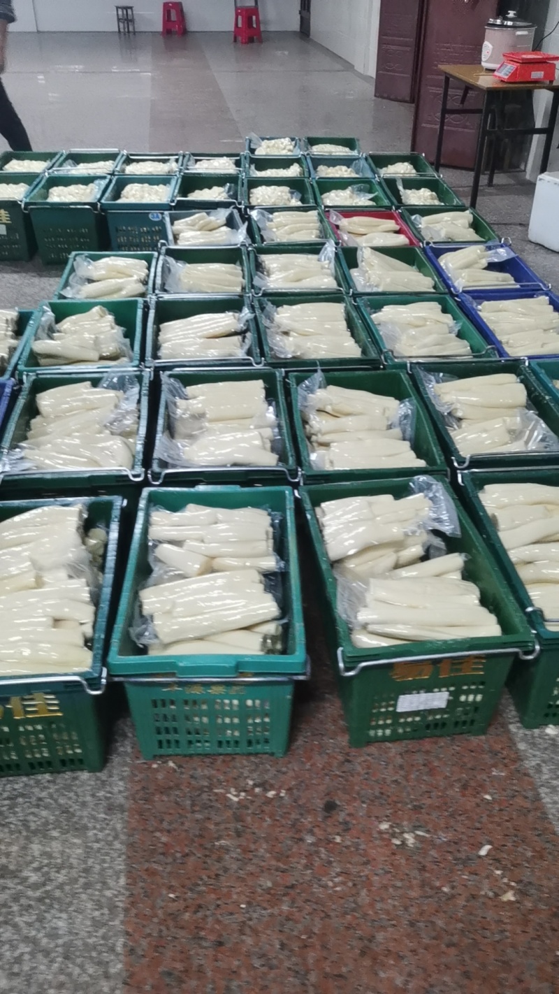 黄肉木薯华南9号，2024年8月10号粉粉糯糯上大量市