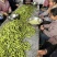 云南露天新鲜蚕豆.全手工制作.现彩现发.货源稳定.供应