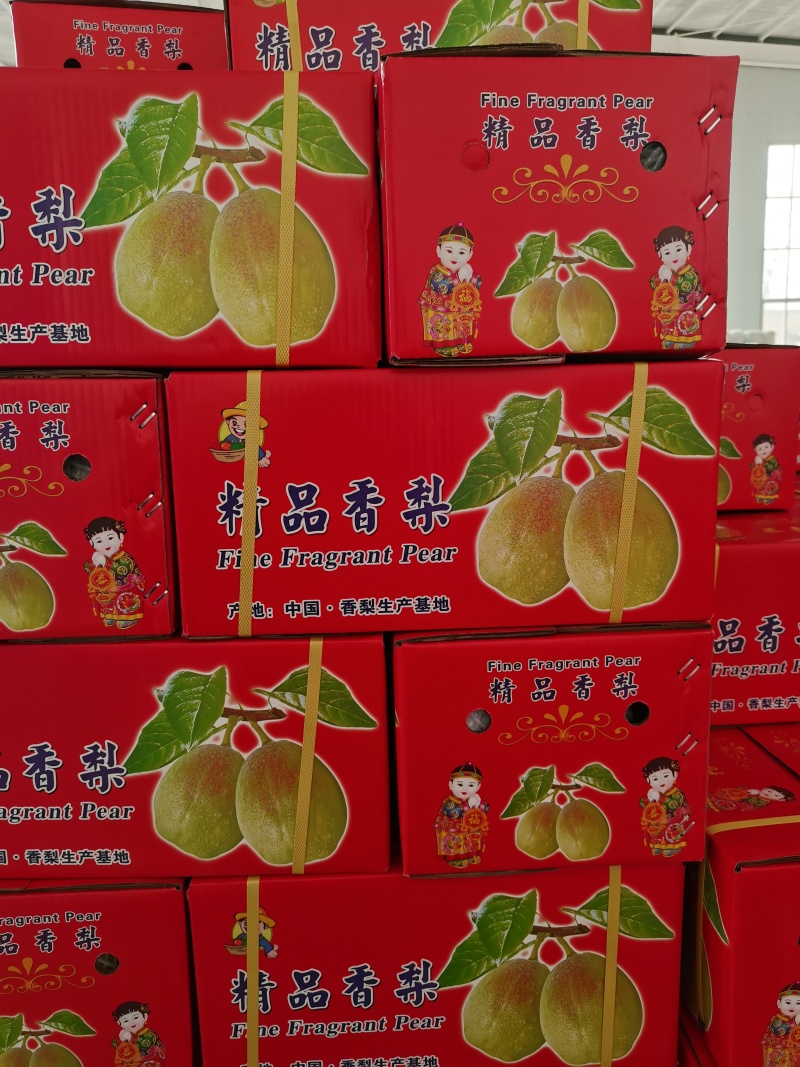 大量供应礼盒香梨产地直发价格超低质量杠杠好