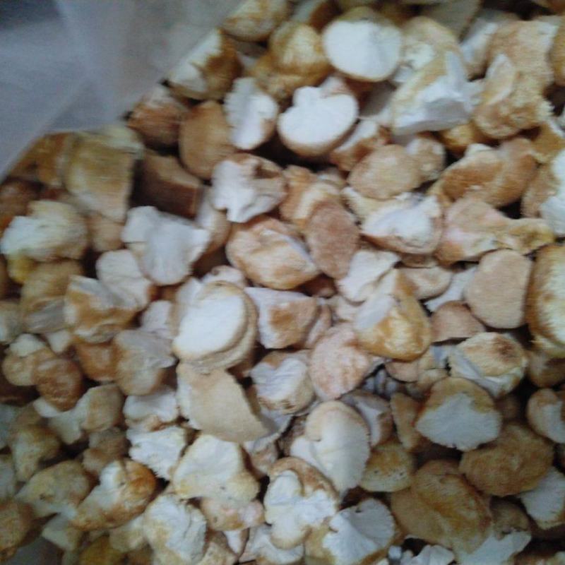 东北猴头菇块批发去根干净干度好结实出粉率高
