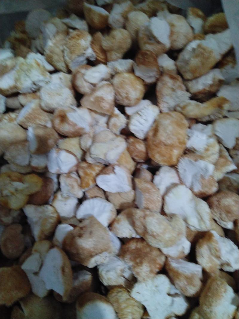 东北猴头菇块批发去根干净干度好结实出粉率高