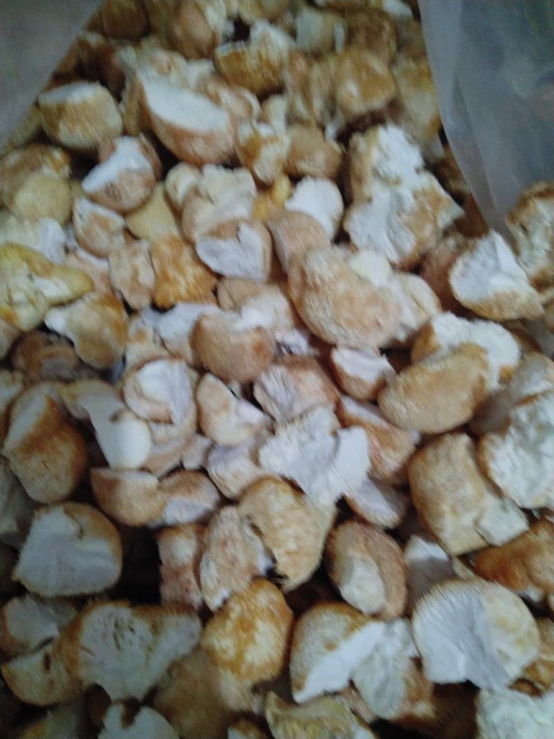 东北猴头菇块批发去根干净干度好结实出粉率高