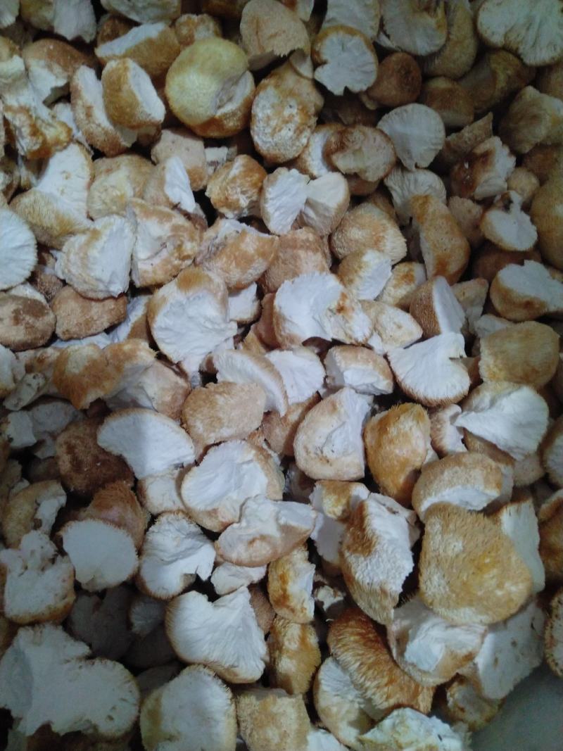 东北猴头菇块批发去根干净干度好结实出粉率高
