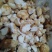 东北猴头菇块批发去根干净干度好结实出粉率高