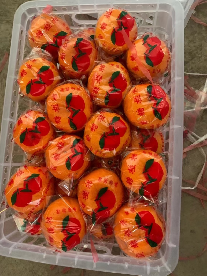 椪柑（芦柑），南丰蜜橘产地批发货源充足看货定园现场采摘