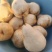 佛手梨冷库货，脆甜。具有奶香味。价格美丽。需要的联系我
