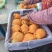 佛手梨冷库货，脆甜。具有奶香味。价格美丽。需要的联系我