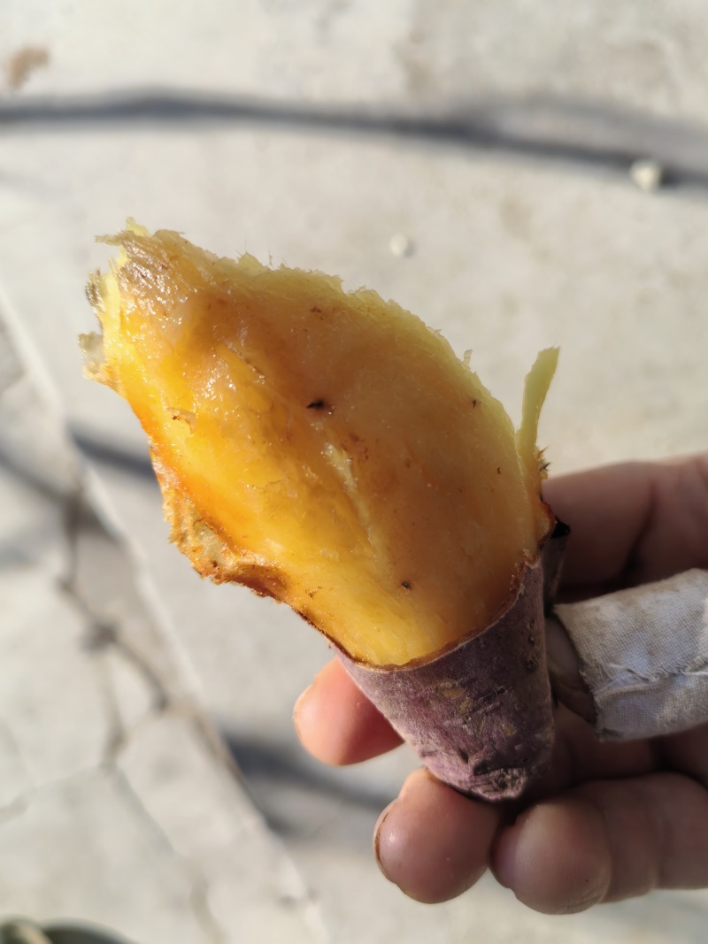 玛莎丽红瑶蜜薯产地直发，欢迎有实力的老板联