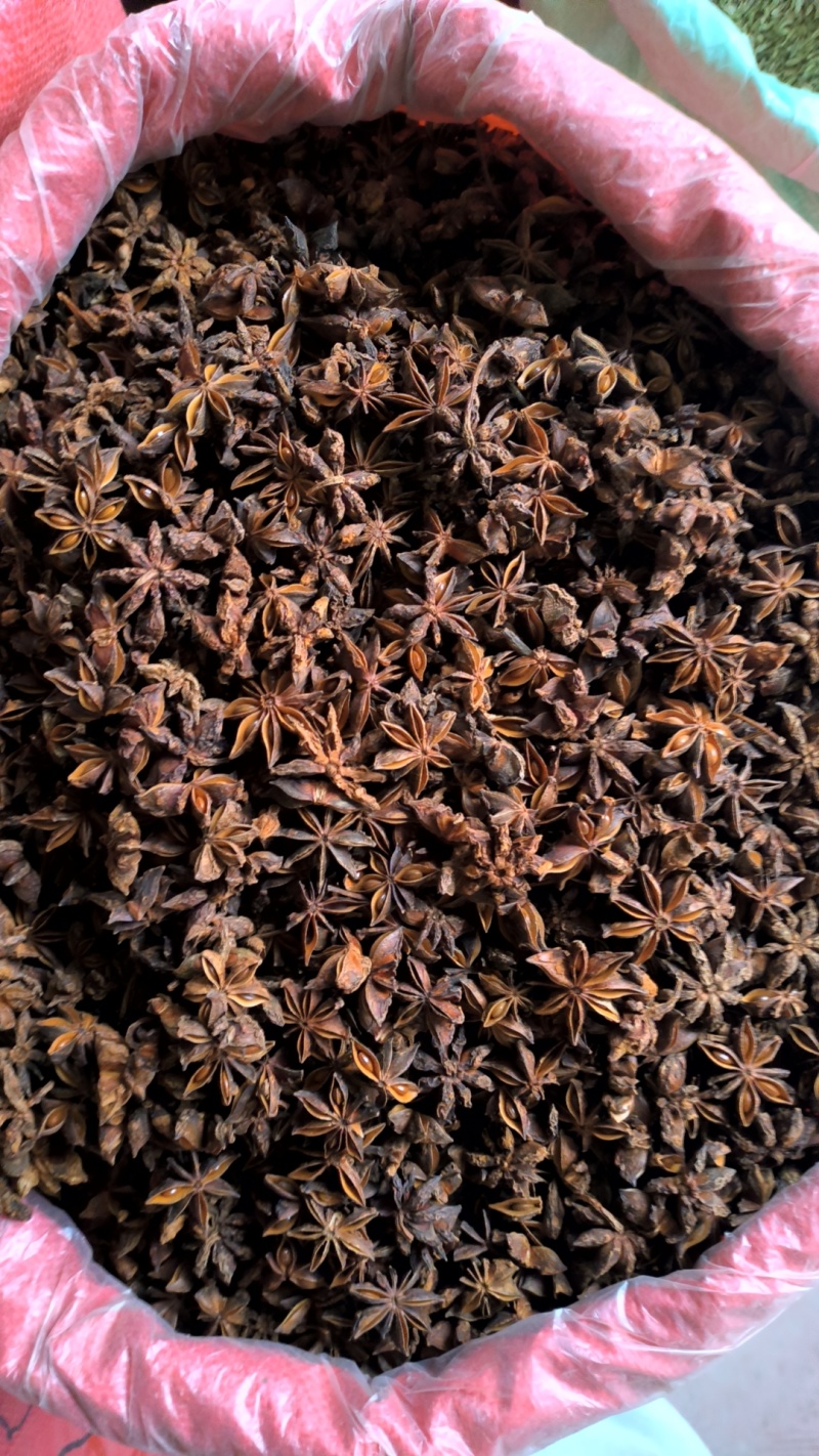 大红八角无硫足干货精选古龙果香味更浓郁产地直销