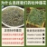 湖南张家界杜仲雄花杜仲熊花泡茶