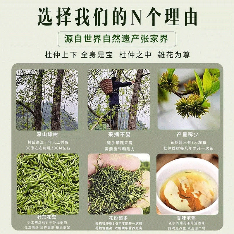 湖南张家界杜仲雄花杜仲熊花泡茶