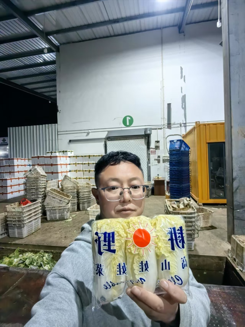 精品小娃娃菜产地直发对接全国量大从优质量保证欢迎咨询