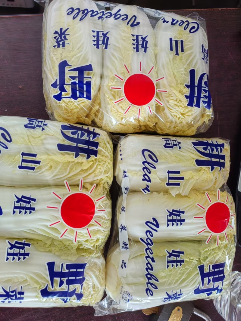 精品小娃娃菜产地直发对接全国量大从优质量保证欢迎咨询