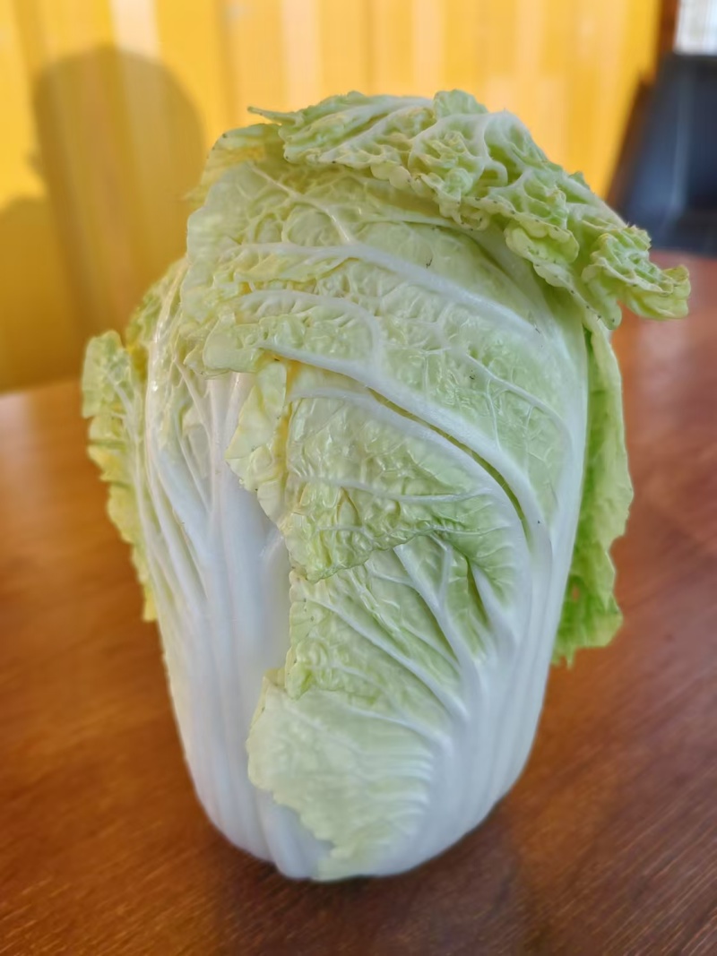 精品大娃娃菜一手货源量大从优质量保证诚信经营欢迎咨询