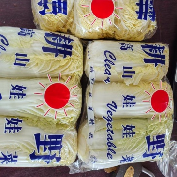 精品小娃娃菜产地直发对接全国量大从优质量保证欢迎咨询