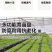 育苗盘穴盘加厚厂家直销育草莓育辣椒育小苗