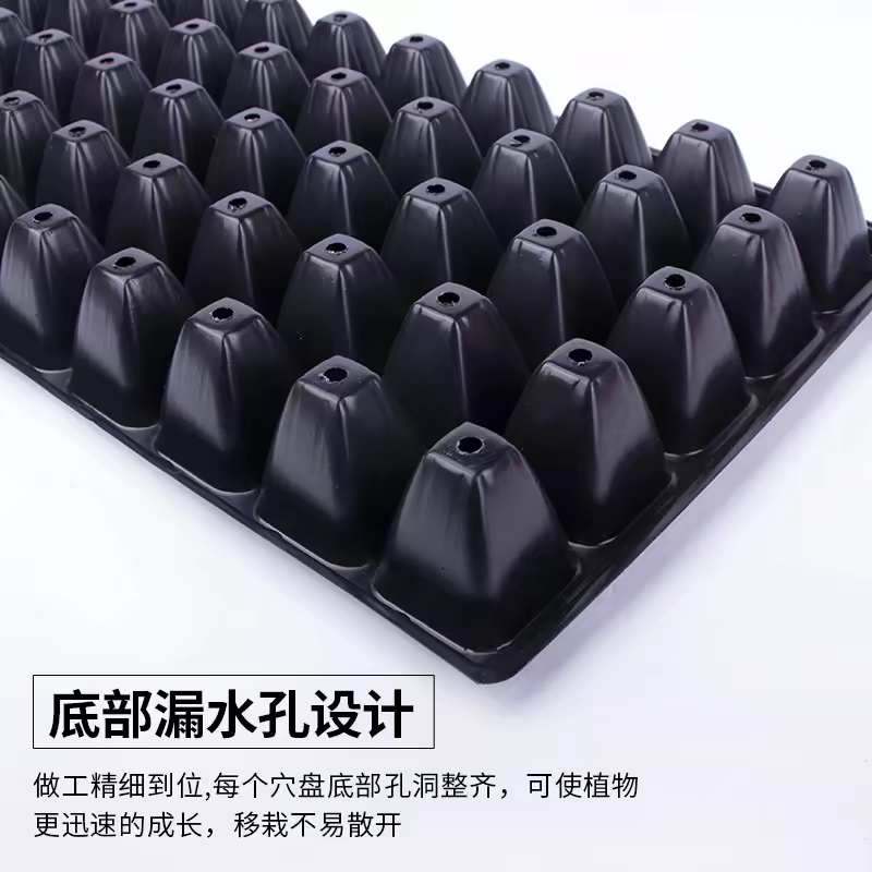 育苗盘穴盘加厚厂家直销育草莓育辣椒育小苗