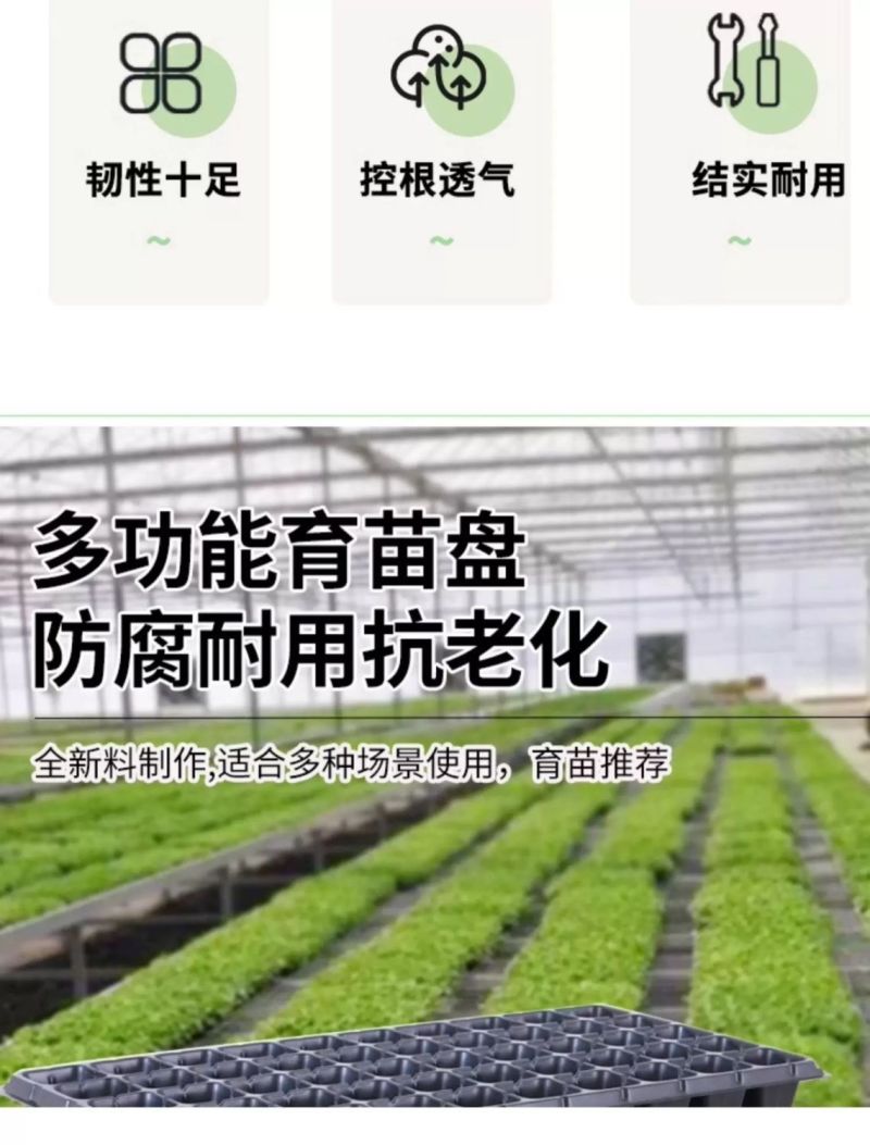 育苗盘穴盘加厚厂家直销草莓辣椒林木育苗盘