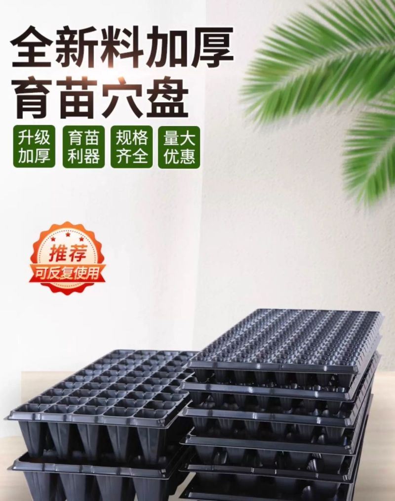 育苗盘穴盘加厚厂家直销草莓辣椒林木育苗盘