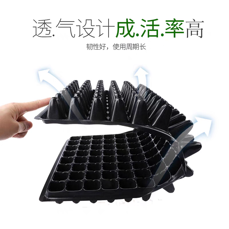 育苗盘穴盘加厚厂家直销草莓辣椒林木育苗盘