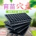 育苗盘穴盘加厚厂家直销草莓辣椒林木育苗盘