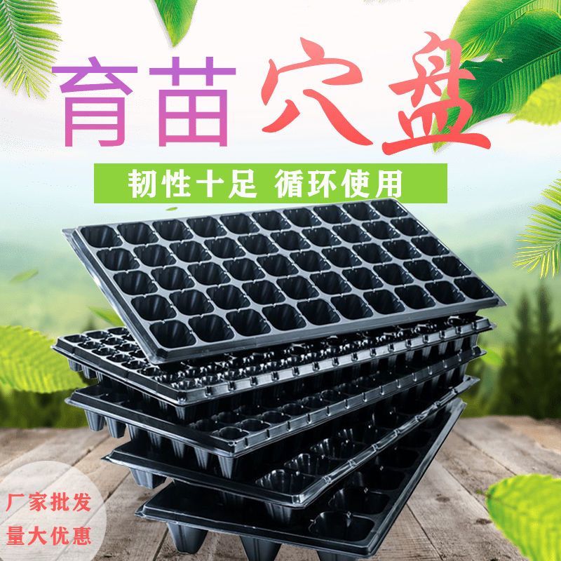 育苗盘穴盘加厚厂家直销草莓辣椒林木育苗盘