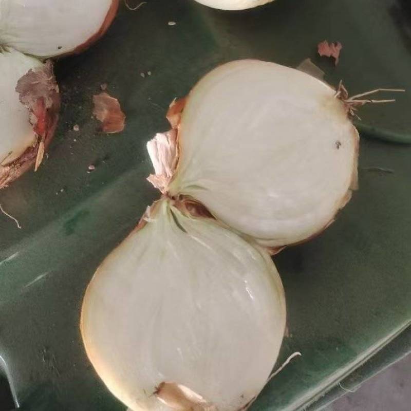 黄皮洋葱大量供应加工厂市场