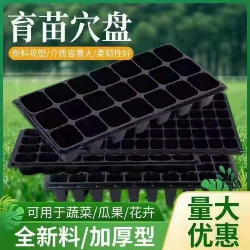 育苗盘穴盘加厚厂家直销育草莓育辣椒育小苗
