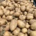 淀粉土豆大量供应淀粉厂脱水加工厂