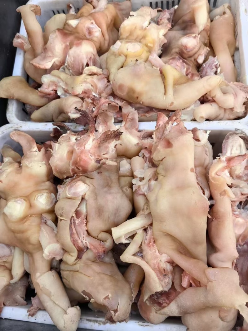 【熟牛蹄筋】清真牛蹄筋支持视频看货品质保证来电价优