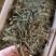 寄生，螃蟹脚，一手货源，质量保证，量大价优