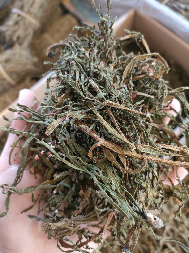 寄生，螃蟹脚，一手货源，质量保证，量大价优