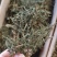 寄生，螃蟹脚，一手货源，质量保证，量大价优