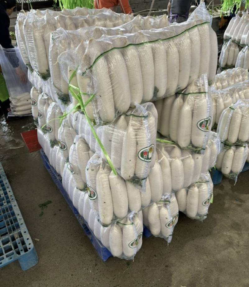 【今日推荐】湖北白萝卜一手货源可视频看货对接全国市场