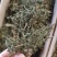 寄生，螃蟹脚，一手货源，质量保证，量大价优