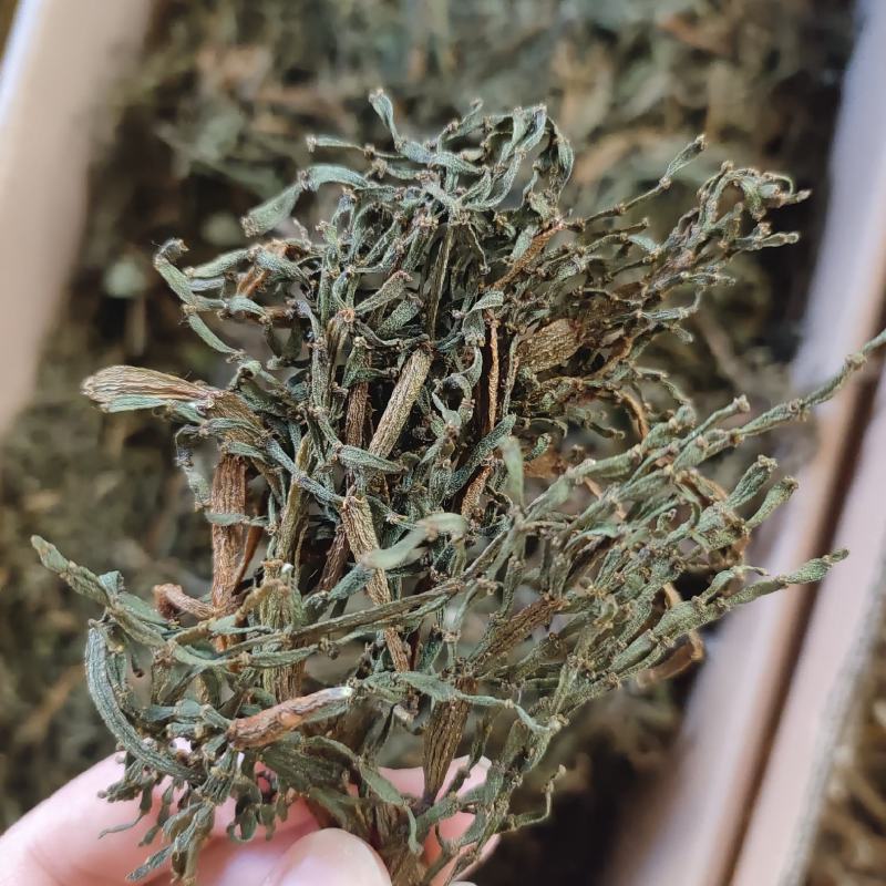寄生，螃蟹脚，一手货源，质量保证，量大价优