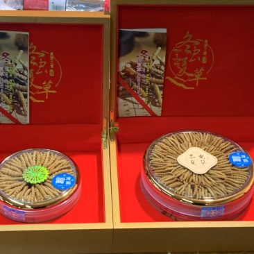 西藏那曲冬虫夏草，40根装礼品装，送礼珍品特有面