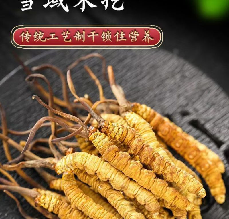 西藏那曲冬虫夏草，40根装礼品装，送礼珍品特有面