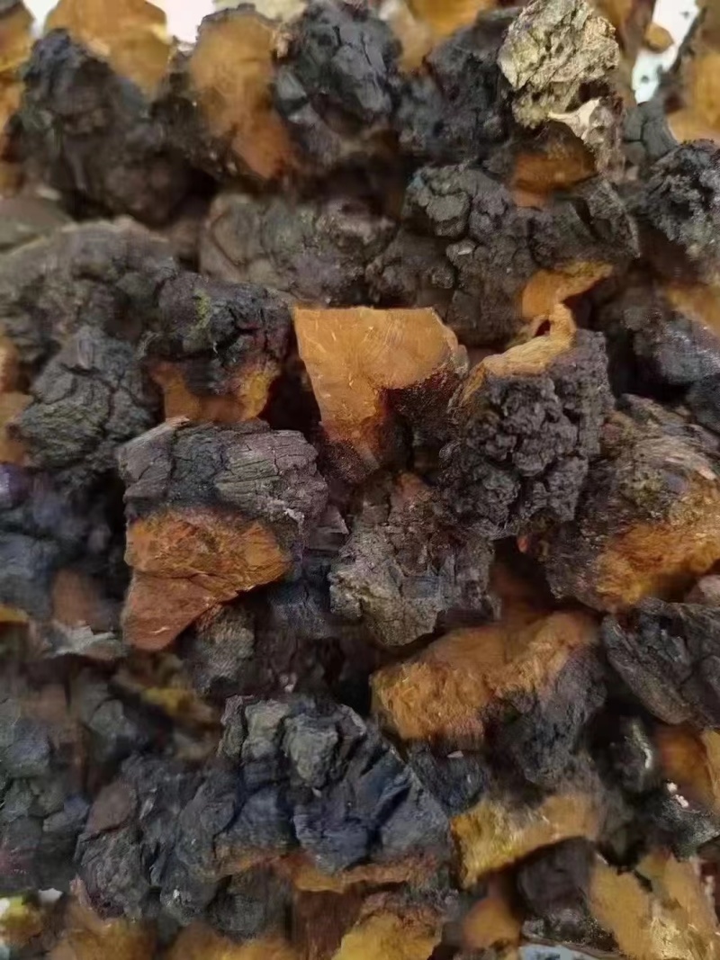 桦树茸，规格齐全，价格优惠，一手货源