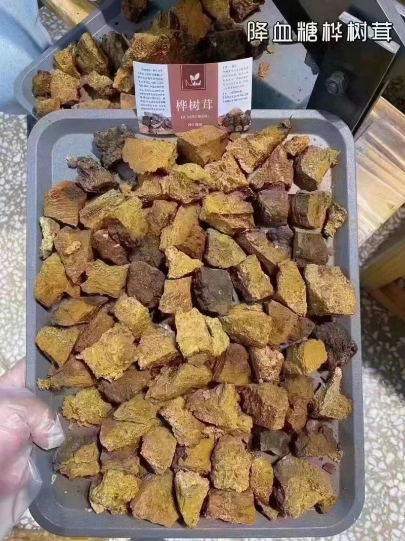 桦树茸，规格齐全，价格优惠，一手货源